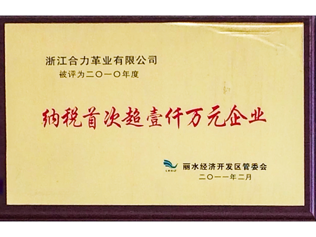 2010年度納稅首次超壹仟萬(wàn)元企業(yè)