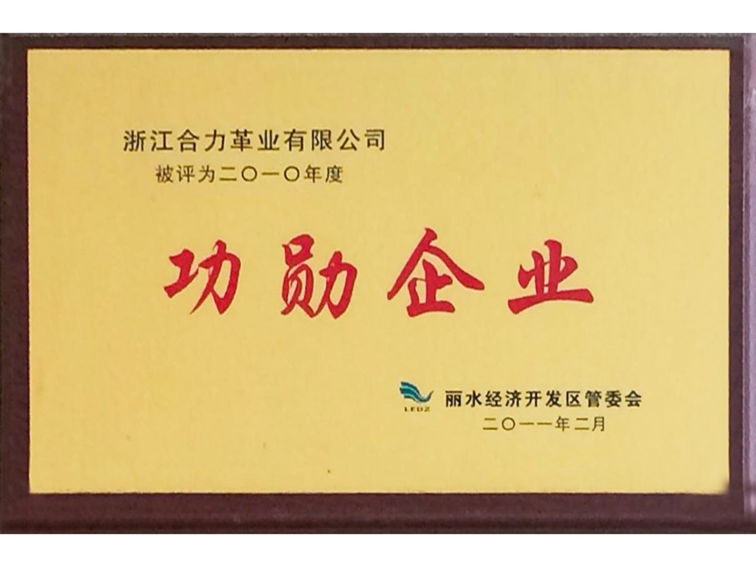 2010年度麗水經(jīng)濟(jì)開發(fā)區(qū)功勛企業(yè)